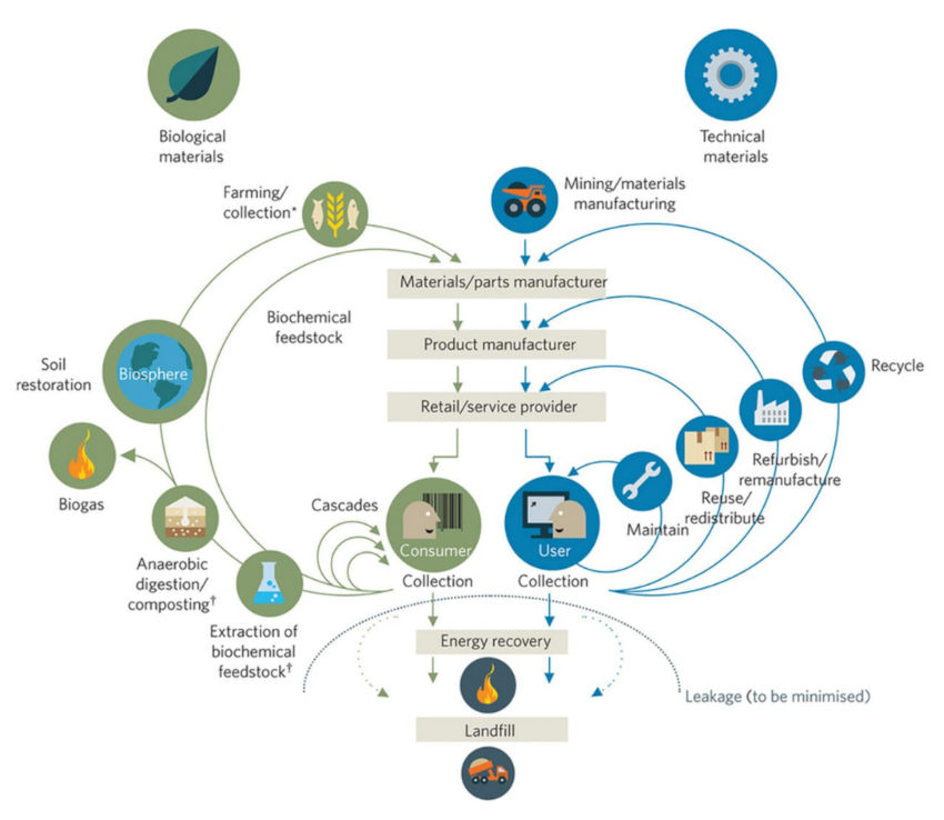 economia-circular.jpg